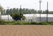 470466
