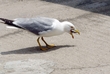 107825