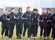 #513319
