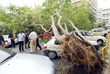 #483026