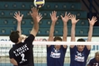 #499795