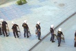 #417825