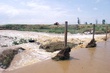 #419736