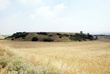 ΤΟΥΜΠΑ  ΑΜΦΙΘΕΑΣ ΣΤΗΝ ΠΕΡΙΟΧΗ ΩΡΑΙΟΚΑΣΤΡΟΥ