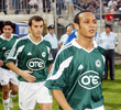 #437561