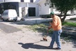 #438105