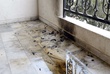 ΖΗΜΙΕΣ ΣΤΑ ΓΡΑΦΕΙΑ ΤΗΣ ΚΑΕ ΑΡΗΣ ΑΠΟ ΜΟΛΟΤΟΦ