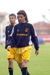 #364023