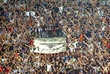 #325534