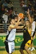 #336910