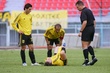 #338129