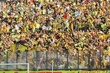 ΑΡΗΣ ΠΑΝΙΩΝΙΟΣ SUPERLEAGUE