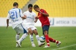 #235302
