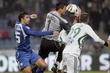 #243115
