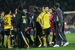 #243022