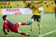 #243554