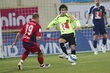 #252802