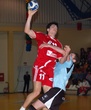#253131