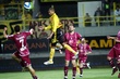 #255591