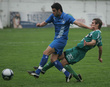#282471