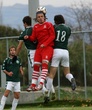 #284561