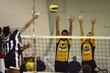 #76842