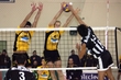 ARIS PAOK VOLLEY A1