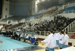 #86095