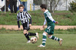 #95097