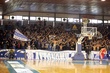 #131910