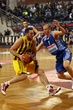 ΑΡΗΣ ΖΑΝΤΑΡ ΜΠΑΣΚΕΤ ΓΙΟΥΡΟΚΑΠ