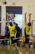 ARIS PANELLINIOS VOLLEYBALL A1