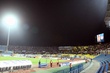 #15546