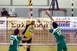 ΑΡΗΣ ΠΑΝΑΘΗΝΑΙΚΟΣ ΒΟΛΛΕΥ PLAY OFF