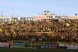 #26005