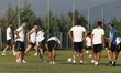 #41499