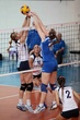 #58151