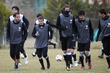 #537081