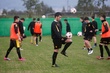 #543709