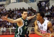 #553529