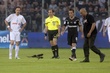 #554412