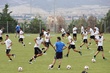 #564437