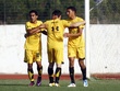 #565644