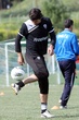 #608855