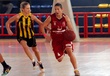 #666527