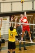 ARIS OLIMPIAKOS VOLLEYBALL A1