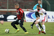 #717425