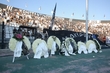 #739931