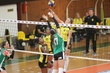 ARIS PANATHINAIKOS BOLLEI