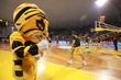 #799256